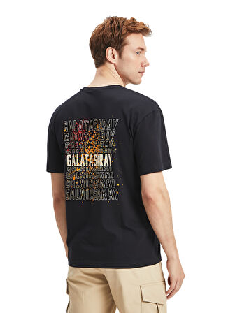 Galatasaray Erkek T-Shirt 12263969