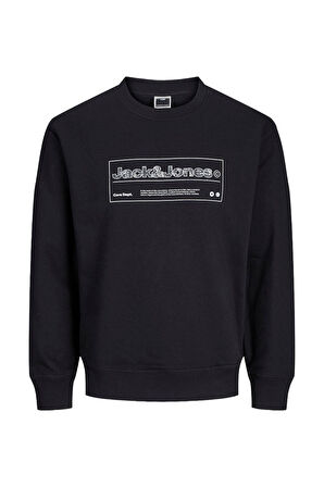 Jack & Jones Alpha Erkek Sweat 12266495