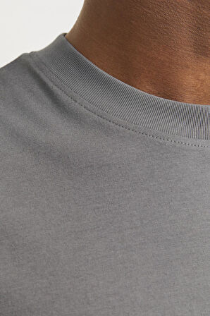 JJEBRADLEY TEE SS O-NECK NOOS GRİ 12249319