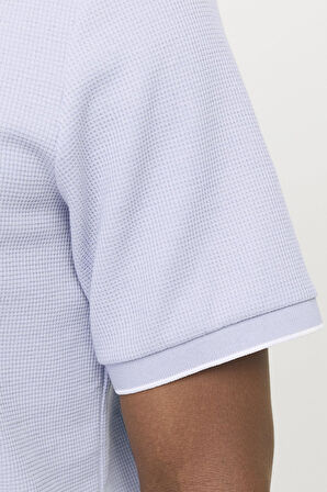 JJEAUSTIN POLO SS NOOS 12268130