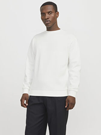 Jack & Jones JJEBRADLEY Crewneck Sweat | Günlük Erkek Sweatshirt 