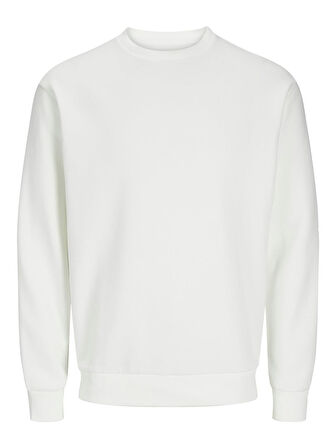 Jack & Jones JJEBRADLEY Crewneck Sweat | Günlük Erkek Sweatshirt 