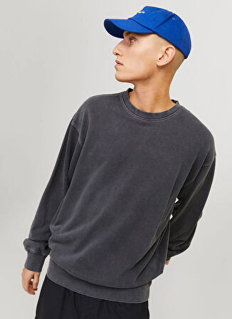 Jack & Jones Erkek Sweatshırt