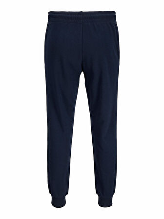 Jack Jones Gordan Sımon Erkek Eşofman Altı 12268442
