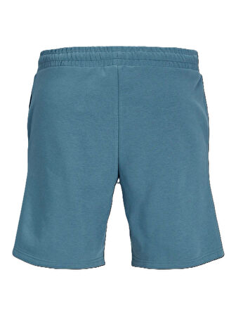 Jack&Jones Jpstgordon Star Erkek Şort 12248831