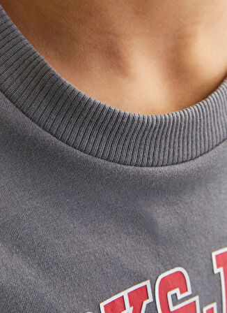 Jack & Jones Baskılı Füme Erkek Çocuk T-Shirt 12258924