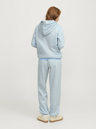 Jjxx Abbıe Relaf Fit Kapüşonlu Kadın Sweat 12223961