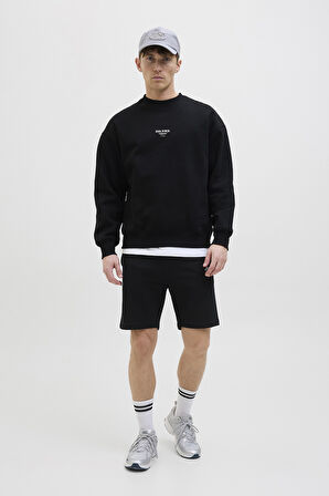 Jack & Jones Erkek Short 12268770