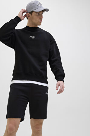 Jack & Jones Erkek Short 12268770
