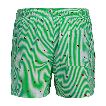 Jack Jones Şort Mayo Maui Mini Stripe