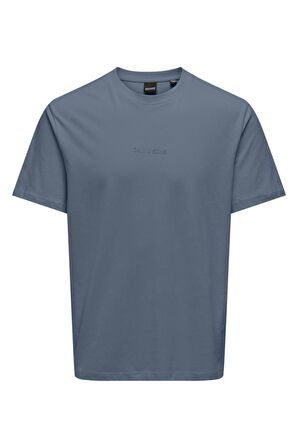 Only & Sons Erkek T Shirt 22028147