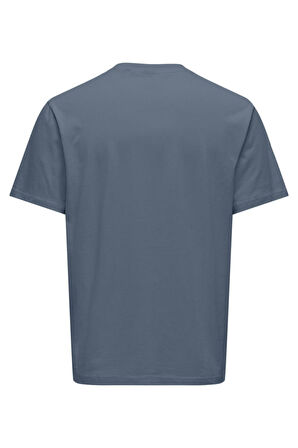 Only & Sons Erkek T Shirt 22028147