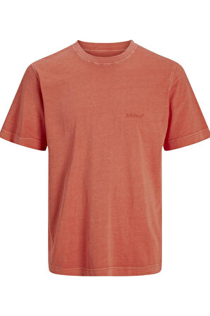 JORVARENNA PIGMENT DYE TEE SS CREW NECK 