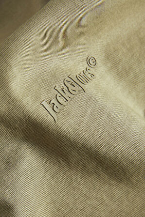 Jack & Jones Erkek T Shirt 12273573