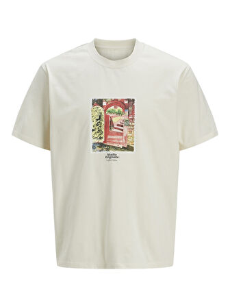 Jack & Jones Erkek Baskılı Bisiklet Yaka T-Shirt - 12273494