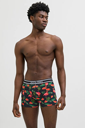 Jack & Jones Erkek Boxer 12273099