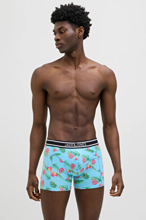 Jack & Jones Erkek Boxer 12273099