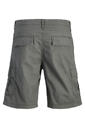 Jack & Jones Erkek Short 12274389