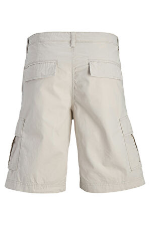 Jack & Jones Erkek Short 12274389