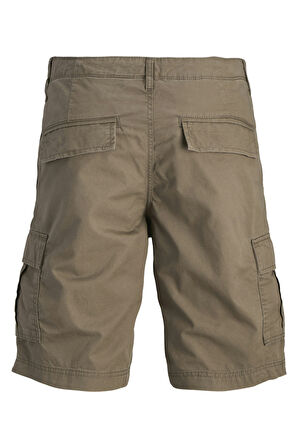 Jack & Jones Erkek Short 12274389