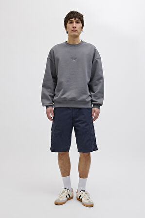 Jack & Jones Erkek Short 12274389