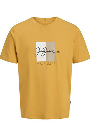JORFREDERIKSBERG BOX SCRIPT TEE SS CN LN SARI 