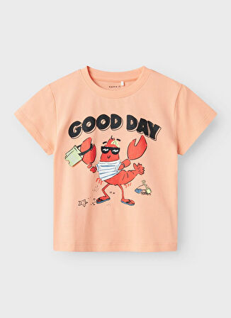 Name İt Baskılı Kırmızı Erkek Çocuk T-Shirt 13241295