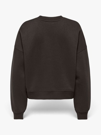ONLBEST L/S CREW NECK SWT Kadın Kahverengi  - 15338727