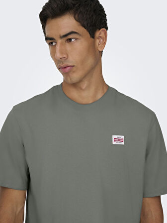 Only & Sons Erkek Yuvarlak Yaka Regular Fit Gri T-Shirt - 22033190