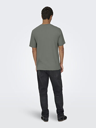 Only & Sons Erkek Yuvarlak Yaka Regular Fit Gri T-Shirt - 22033190