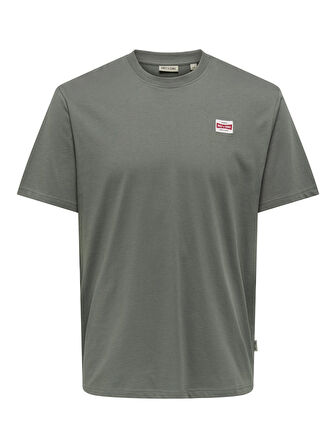 Only & Sons Erkek Yuvarlak Yaka Regular Fit Gri T-Shirt - 22033190