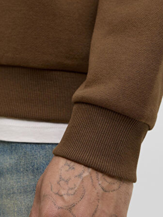 Jack & Jones JJEBRADLEY Crewneck Sweat | Günlük Erkek Sweatshirt 