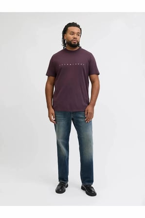 Jack Jones Star Büyük Beden Erkek Tişört 12243625