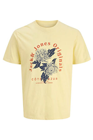 Jack & Jones Jorazur Erkek Tişört