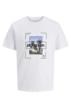 Jack & Jones Erkek T Shirt 12286113