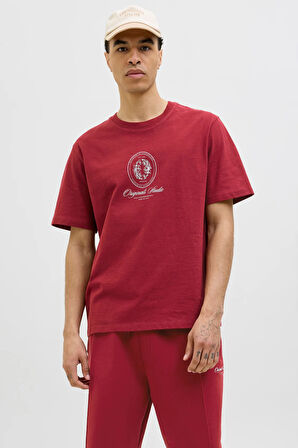 Jack & Jones Erkek T Shirt 12286609