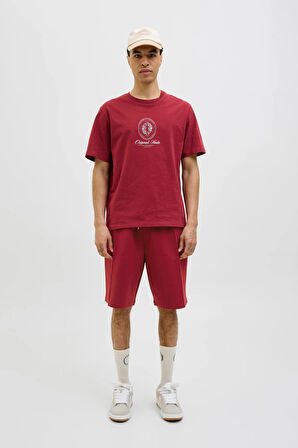 Jack & Jones Erkek T Shirt 12286609