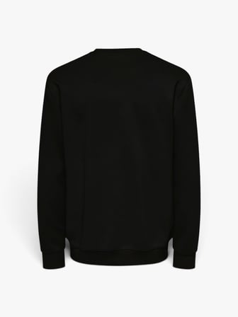 ONSLUCA LIFE REG LS CREW SWEAT Erkek Siyah Sweatshirt - 22035201