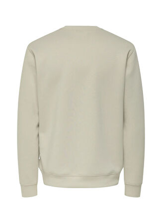 Only & Sons O Yaka Ekru Erkek Sweatshırt ONSLUCA LIFE REG LS CREW SWEAT