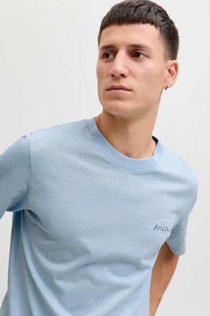 Jack & Jones JJBRANDON Bisiklet Yaka Kısa Kollu Erkek T-Shirt 
