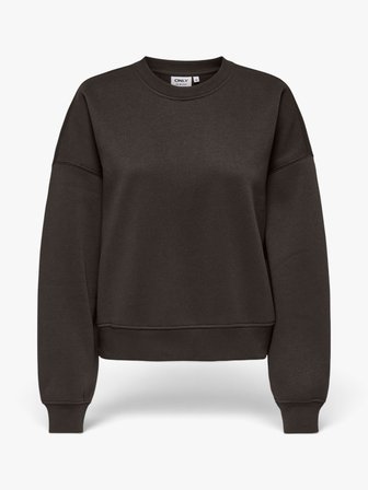 ONLBEST L/S CREW NECK SWT Kadın Kahverengi  - 15338727