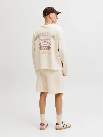 Jack Jones Stkarı Norrebro Loose Fit Erkek Şort 12292565