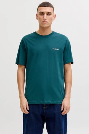 Jack & Jones JJBRANDON Bisiklet Yaka Kısa Kollu Erkek T-Shirt 