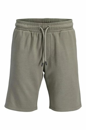 Jack Jones Gordon Bradley Regular Fit Erkek Şort 12249285