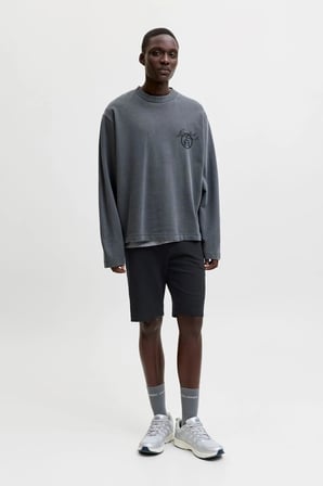 Jack Jones Gordon Regular Fit Erkek Şort 12289726