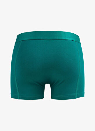 Jack & Jones Yeşil Erkek Boxer JACALLAN TRUNKS EXC