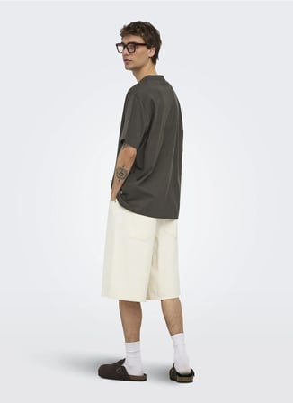 Only & Sons Kahve Erkek T-Shirt 22022532 ONSFRED LIFE SS TEE NOOS