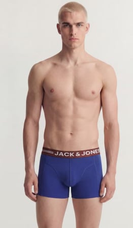 Jack & Jones Erkek Çok Renkli Boxer 3'lü - 12113943 