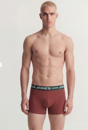 Jack & Jones Erkek Çok Renkli Boxer 3'lü - 12113943 