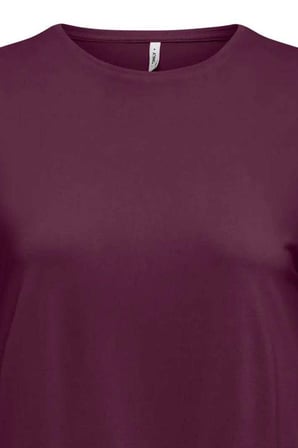 Only Onlhannah Regular Fit Bisiklet Yaka Basic T Shirt Bayan T SHİRT 15371576 VİŞNE